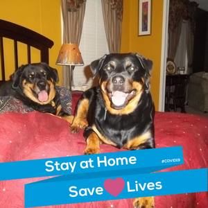 Meet your Posher, Jennie